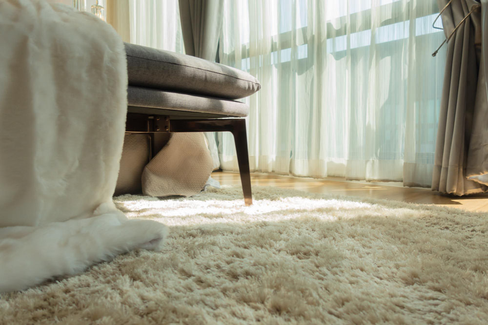 Soft Carpet Floor
