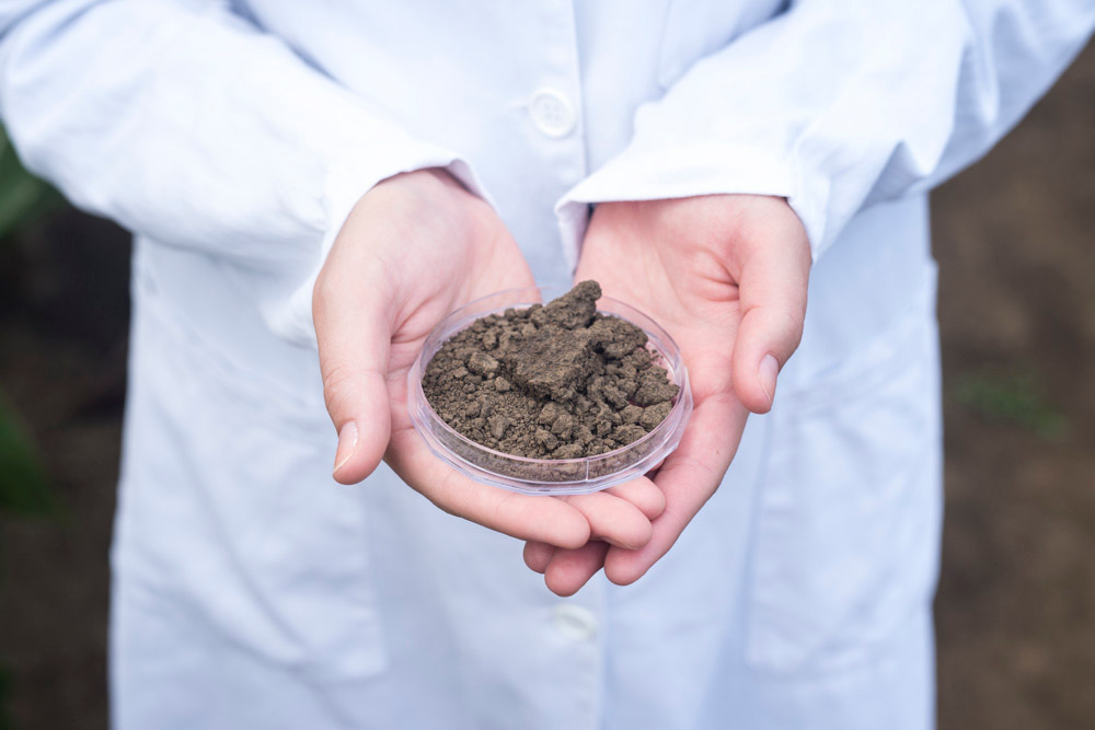 Soil Testing and Report investigation