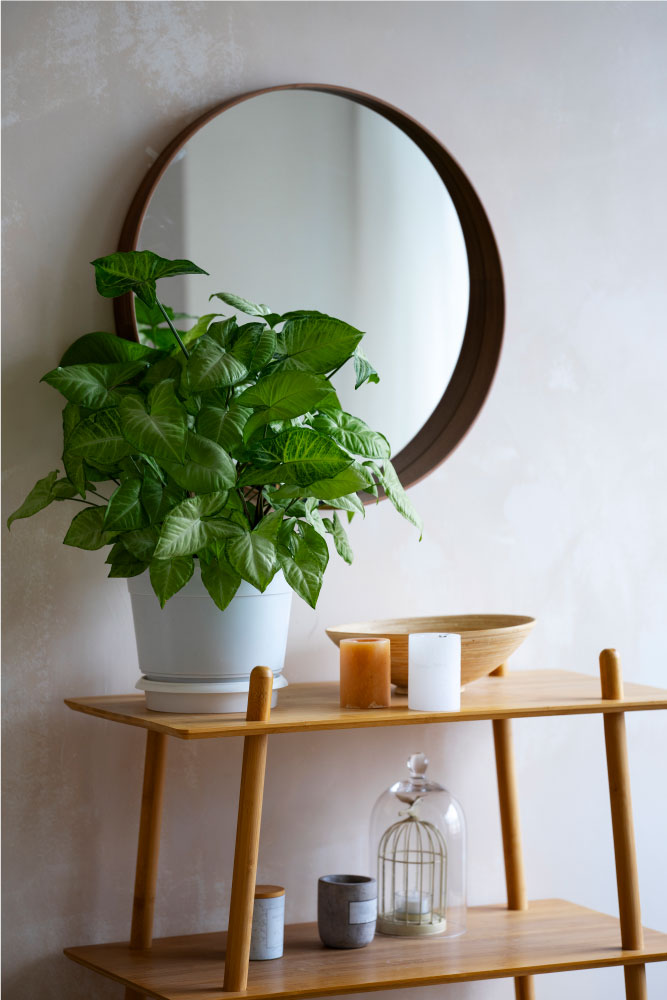 Earthy Decor