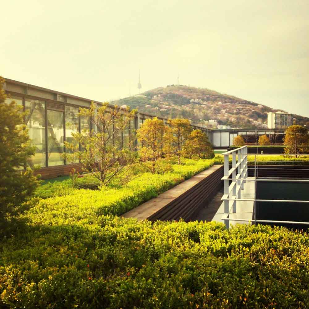 Eco-friendly Landscaping Techniques