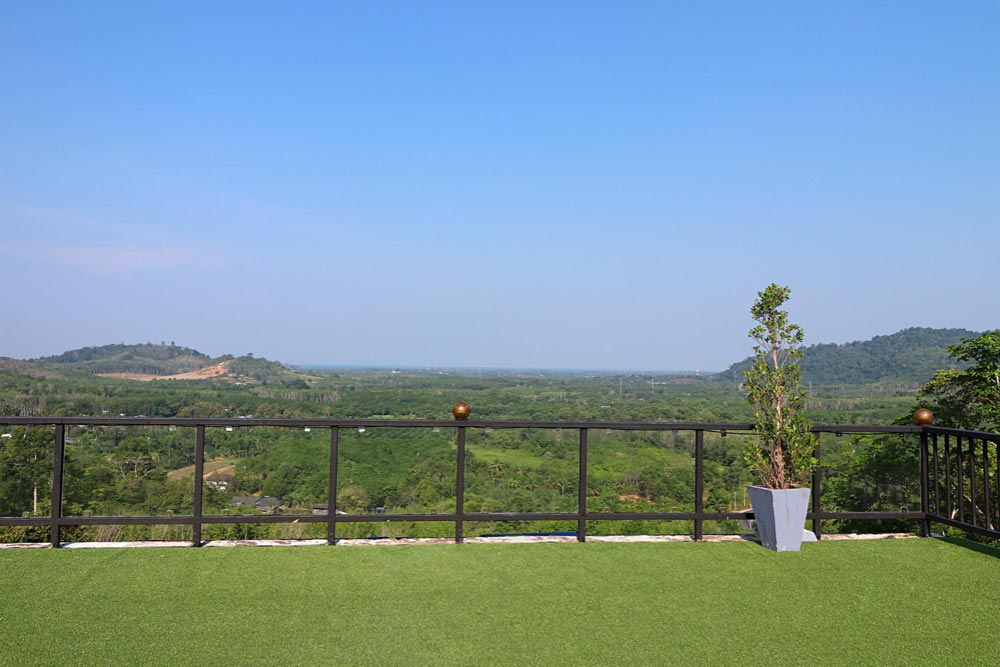 Green Roof Installation