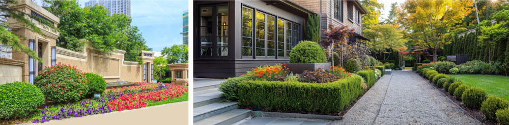Small Specimen Trees Complement the Built