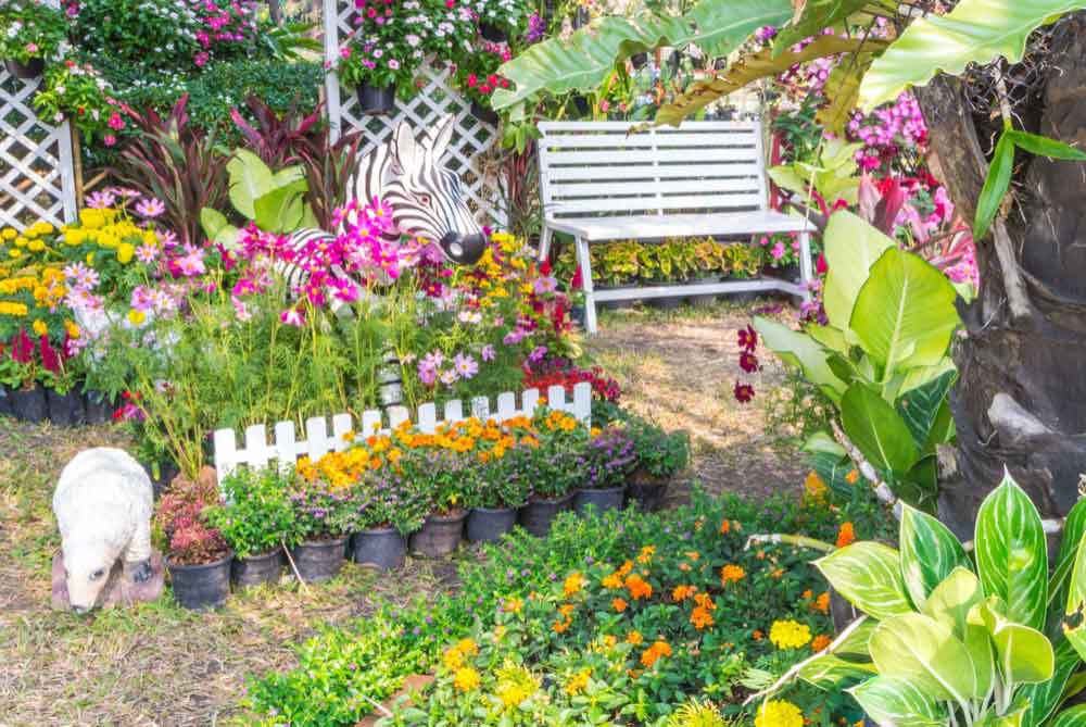 Colourful Flower Garden