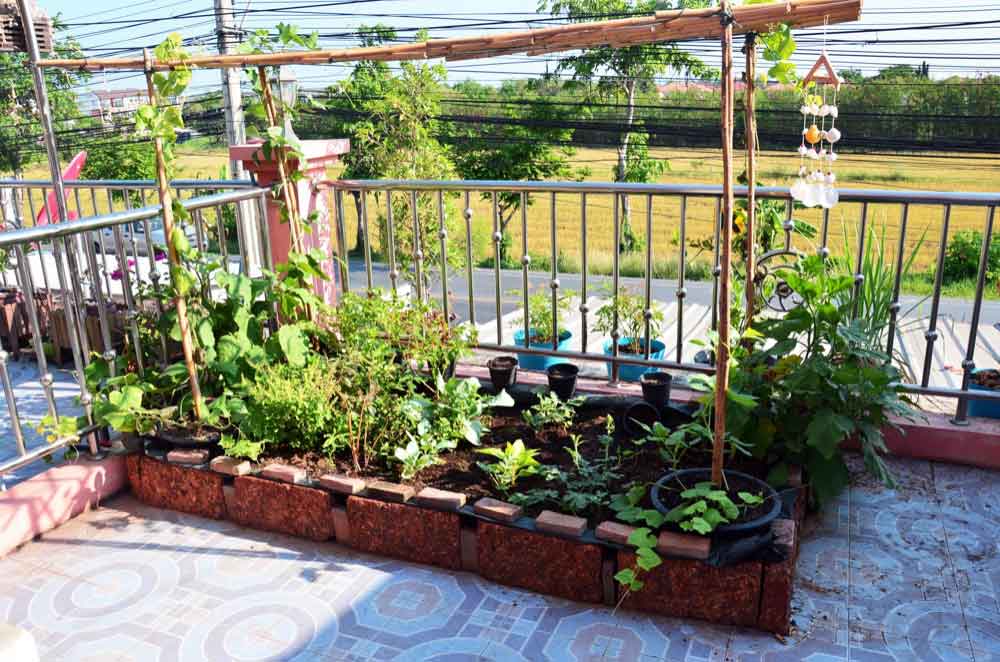 Kitchen Garden