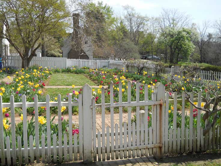 Ornate Fencing