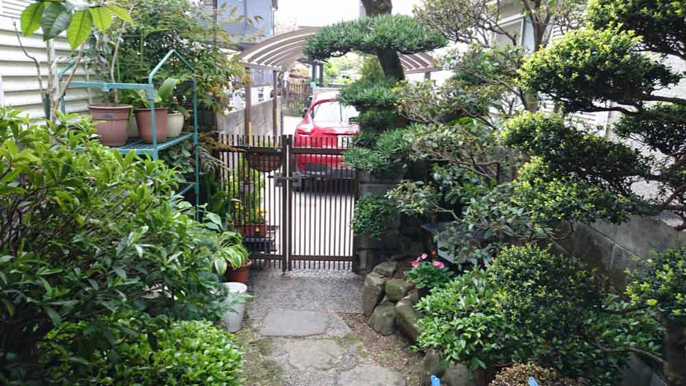 Simple Landscaping