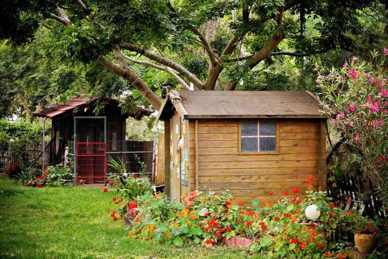 Right Shed Style