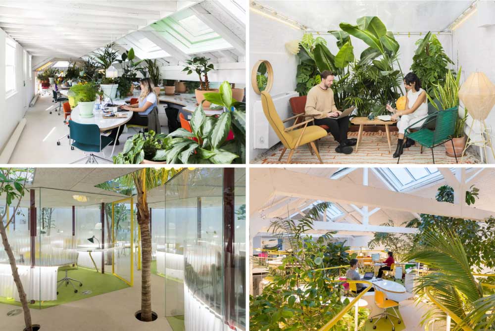 Second Home Holland Park - An Example of Healing Architecture