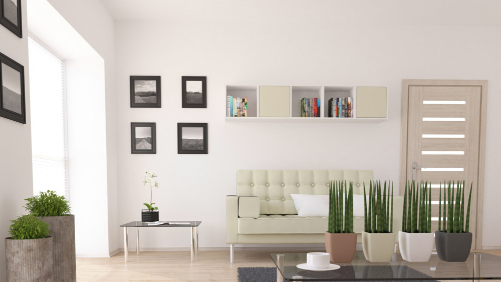 Vibrant Interior Wall and Ceiling Paints