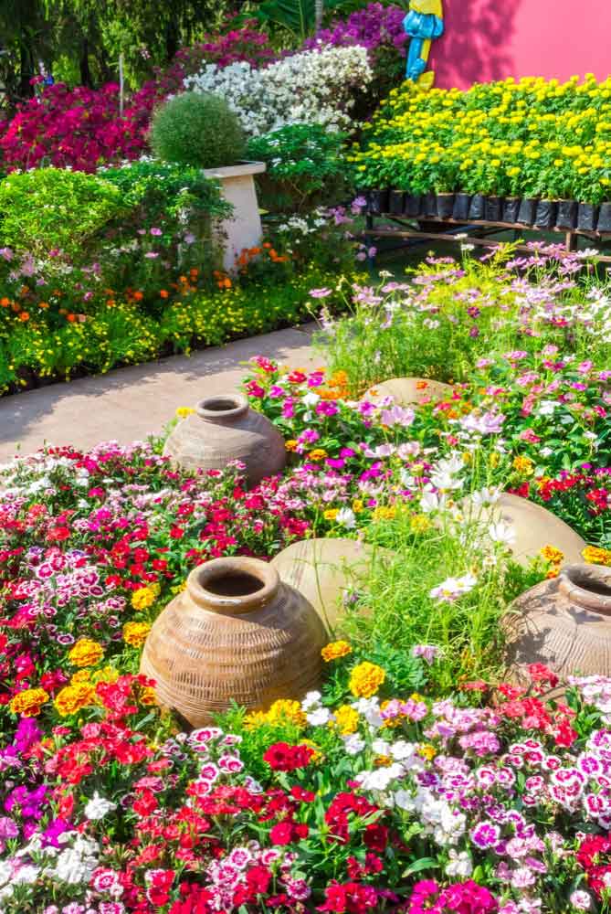 Butterfly Garden