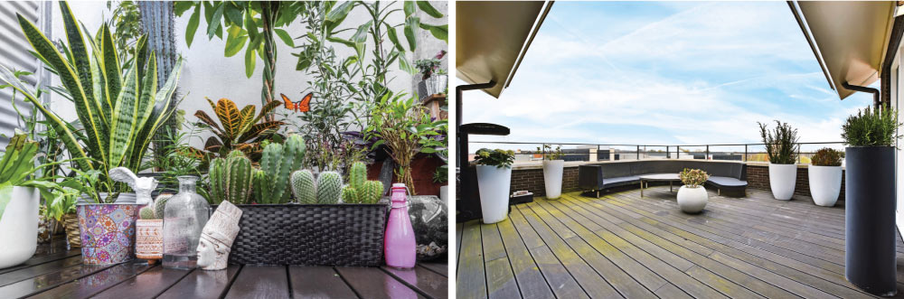 Decorative Pots and Containers