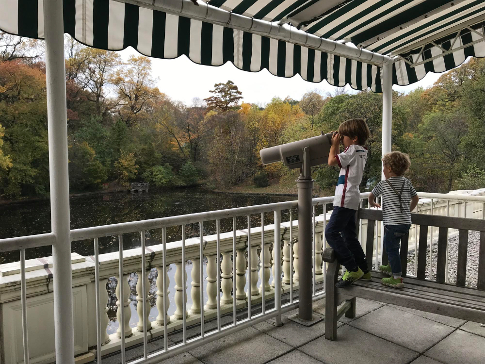 Fixed Canopies for Permanent Protection