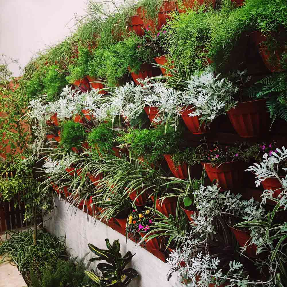 Layered Plant Arrangements
