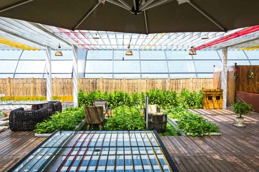 Protecting Plants During Extreme Weather