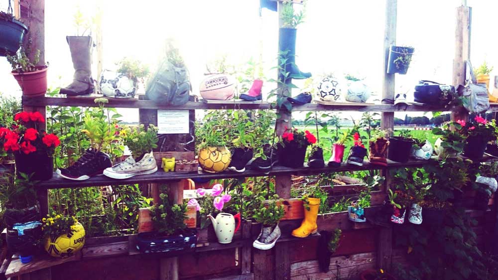 Recycling Old Items as Planters