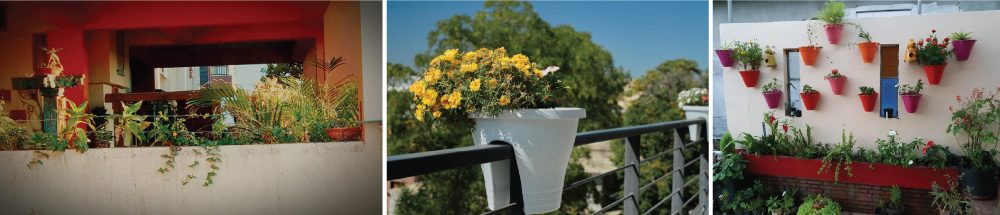 Terrace Gardens for Small Apartments