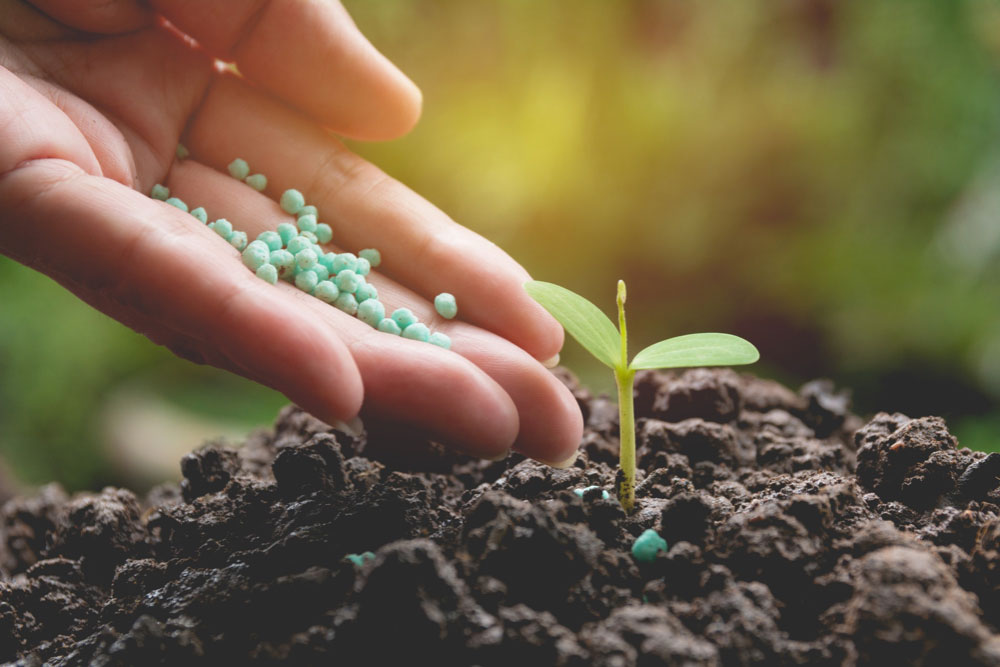 Using Organic Fertilizers
