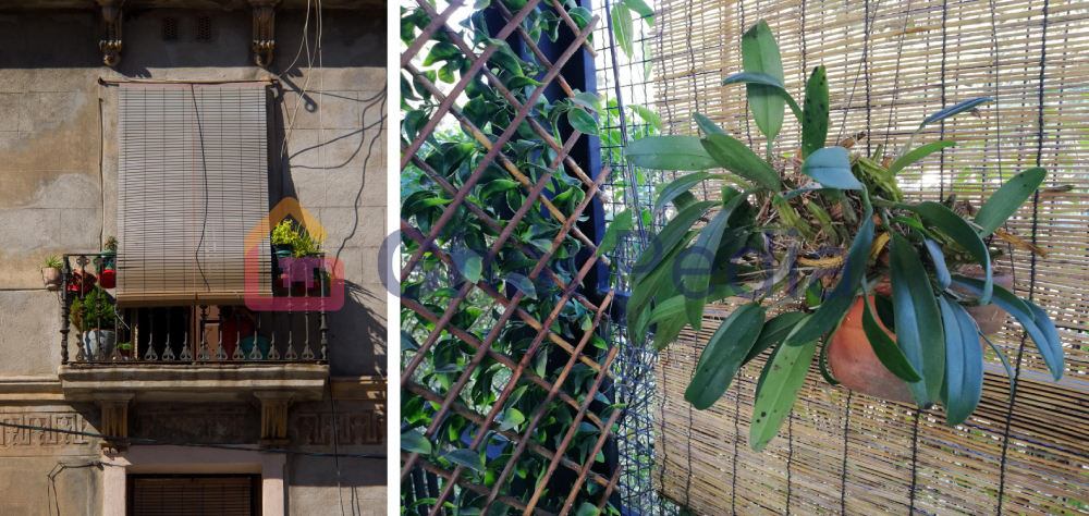 Woven Jute or Cane Screens