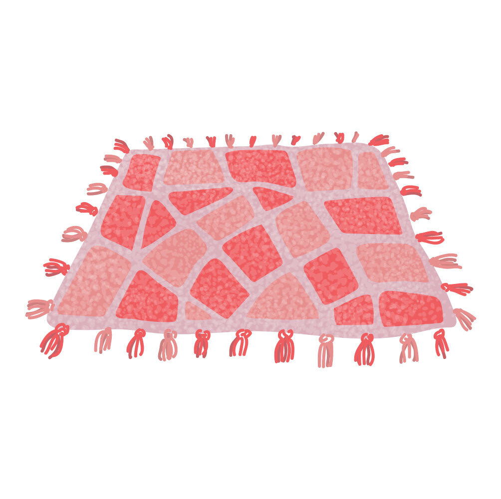 Blush Pink and Coral Cheer Color Theme 