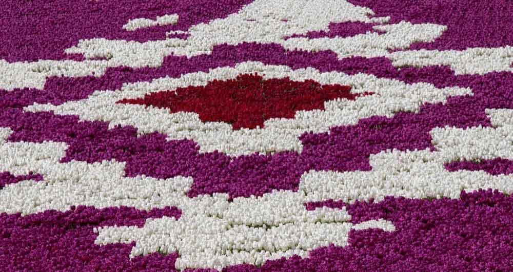Bold Red and Majestic Purple Color Theme