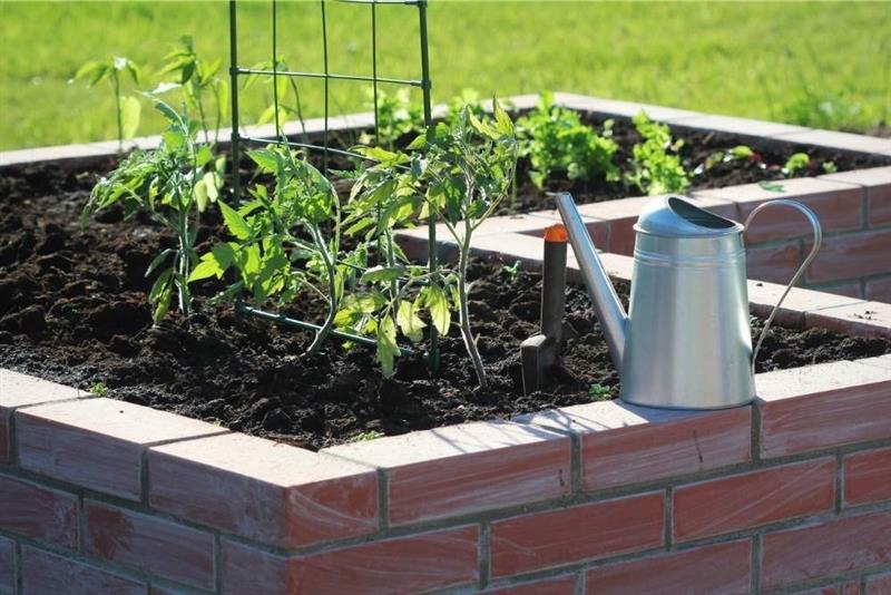 Smart Watering Tips for Raised Beds