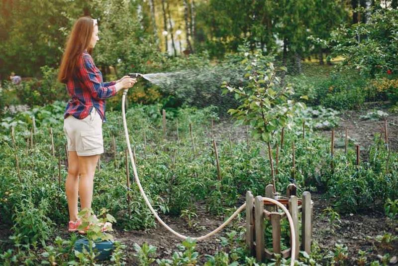 Water Your Raised Garden Beds with a Hose Reel