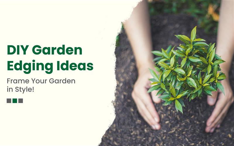 DIY Garden Edging Ideas