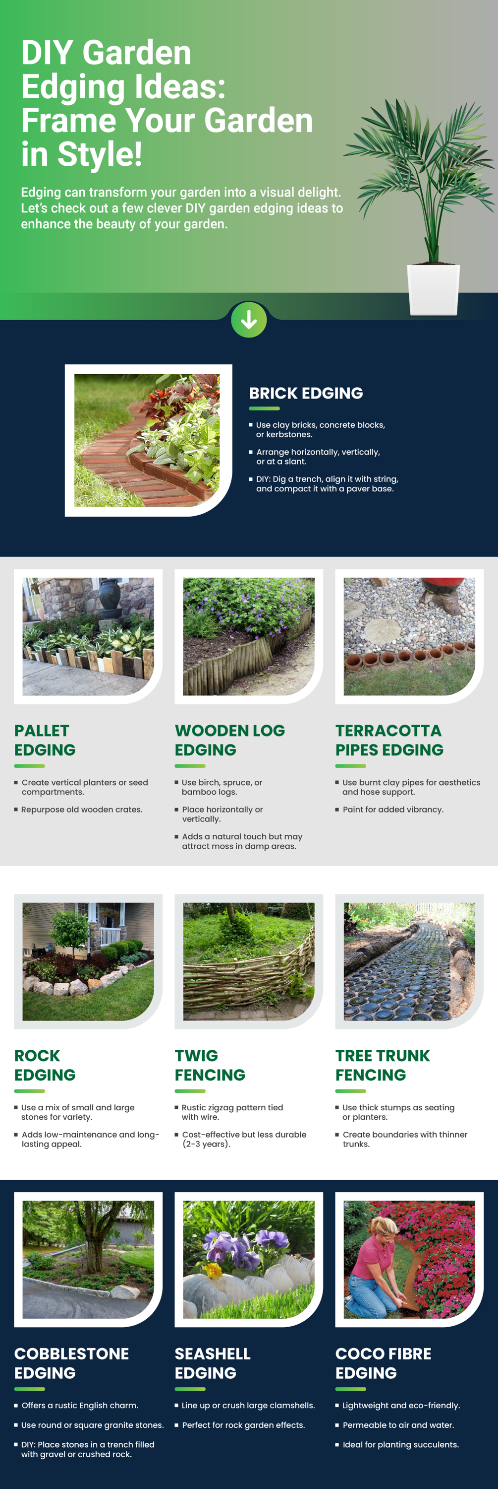 DIY Garden Edging Ideas: Frame Your Garden in Style Infographic