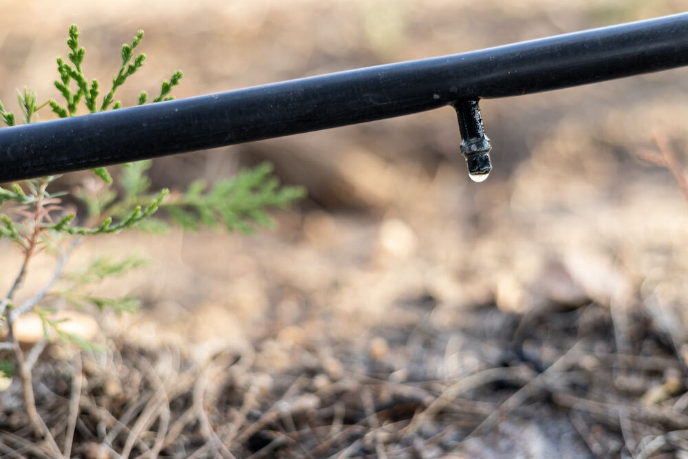 Drip Irrigation