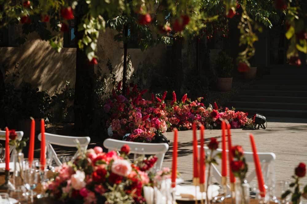 Plants for Every Season