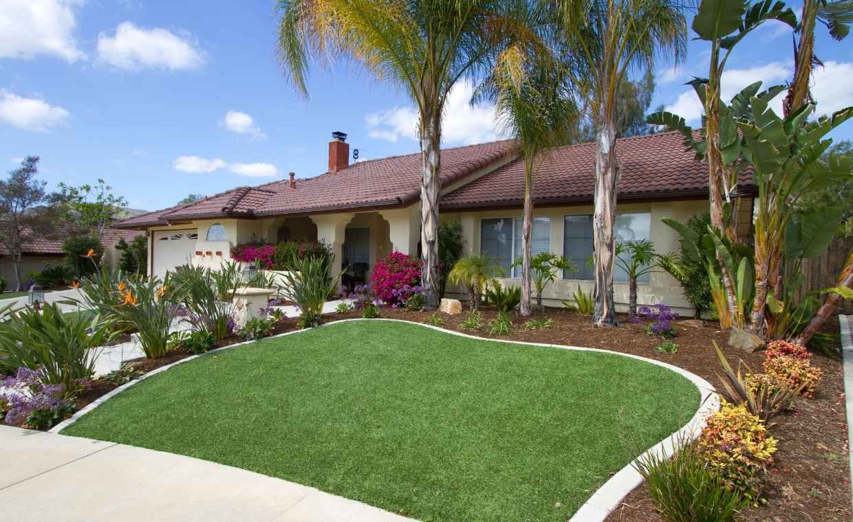 Artificial Grass