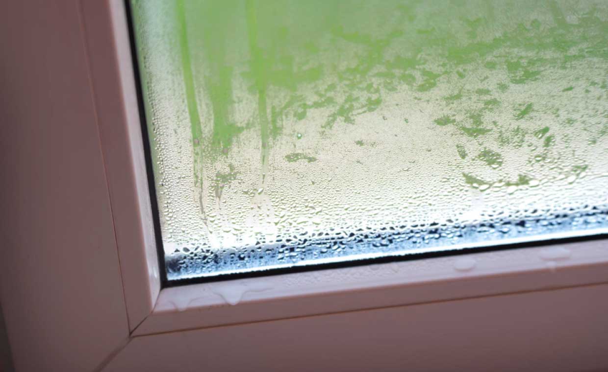 Leaking Windows
