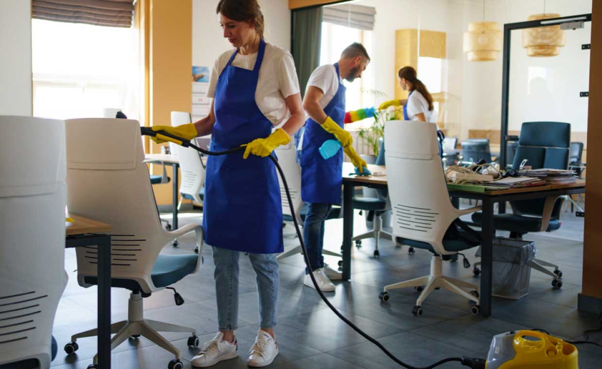 Professional Cleaning Services