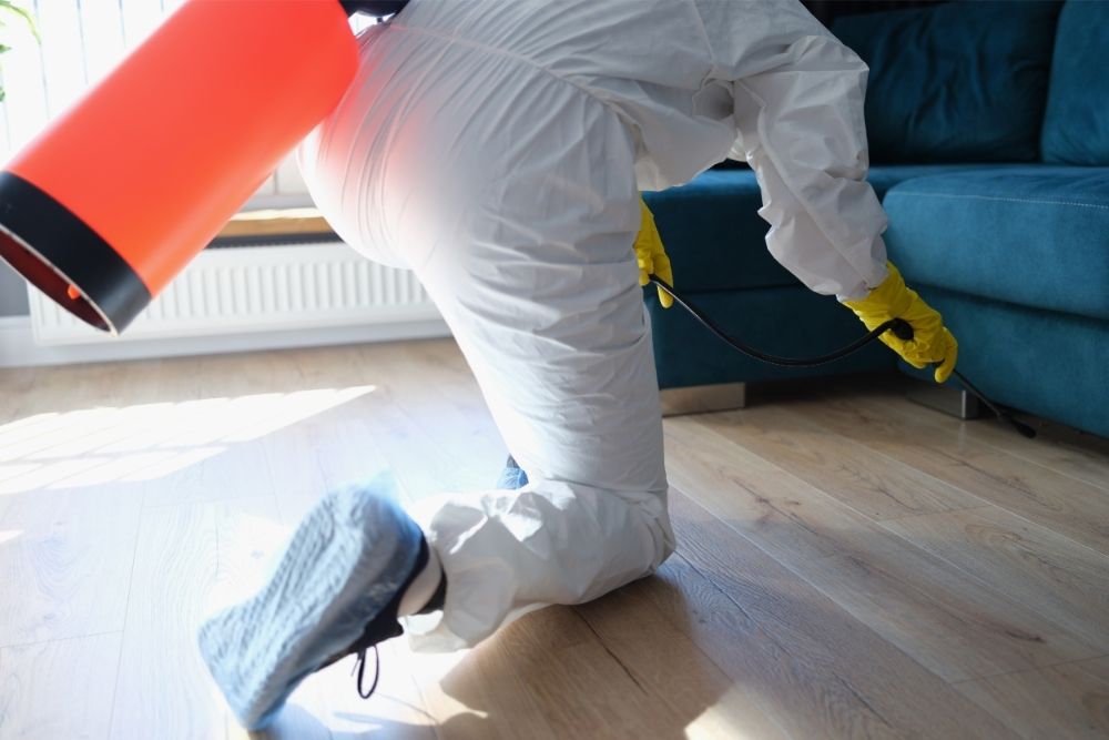 Use of Rodenticides