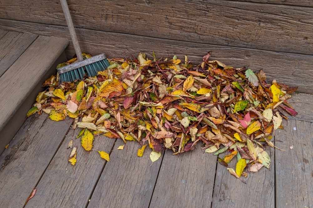 Autumn Deck Care