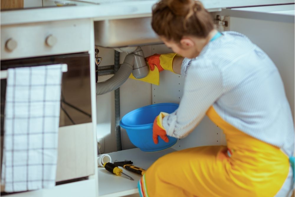 Check for Plumbing Leaks
