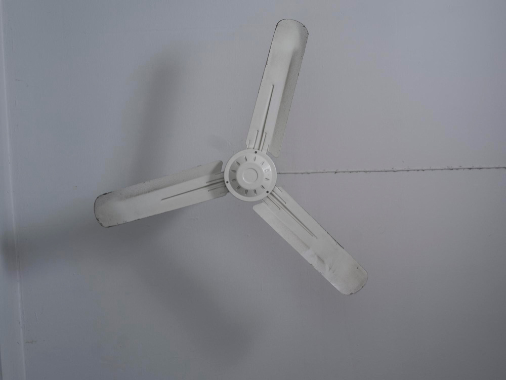 Fans in Reverse