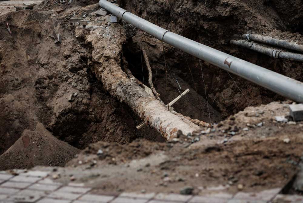 Sewer lines and Tree Roots