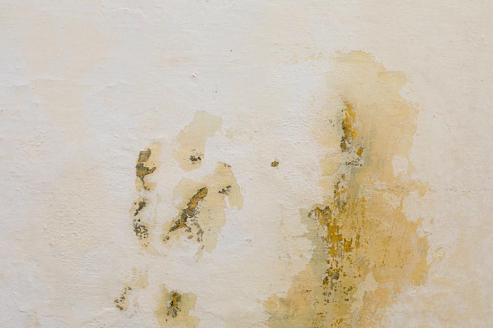 Damp Concrete Wall with Moisture Stains