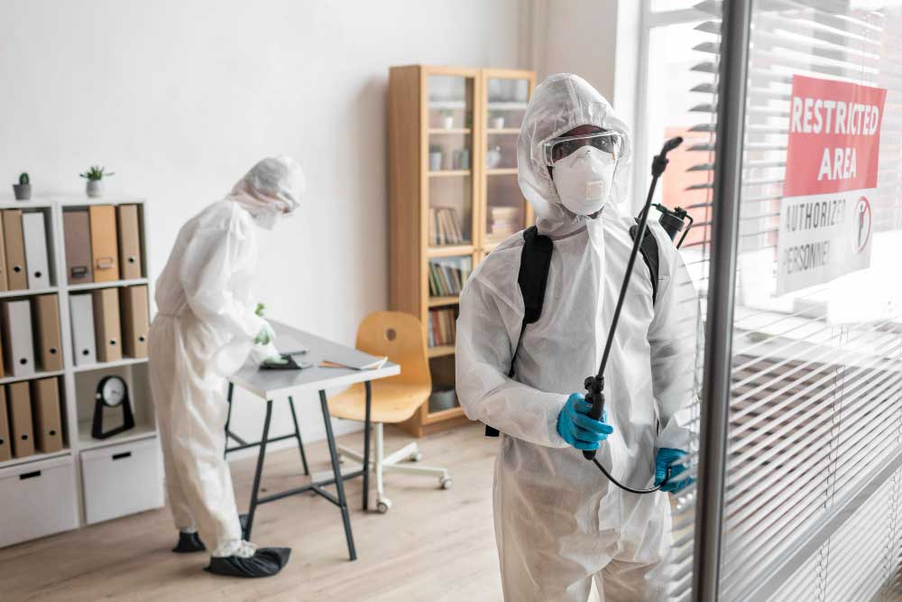 Deep Clean and Pest Prevention