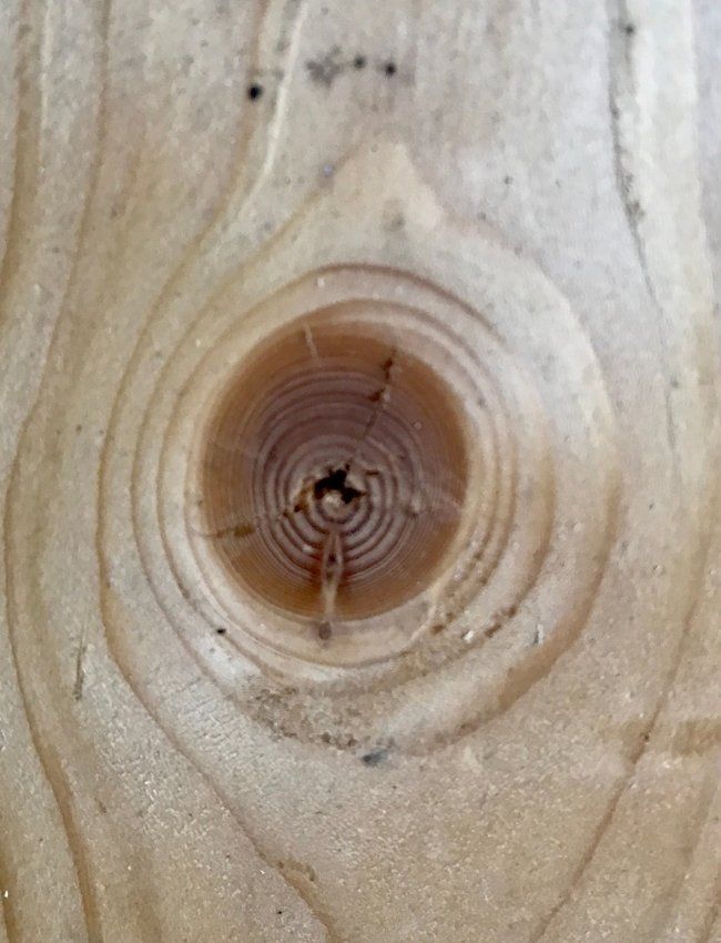 Knots in Wood Knots in Wood