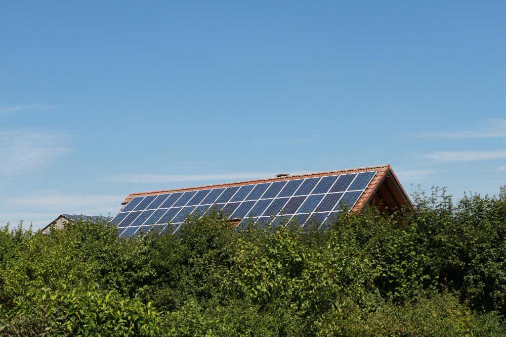 Overhead Trees Reduce Solar Energy Production Overhead Trees Reduce Solar Energy Production