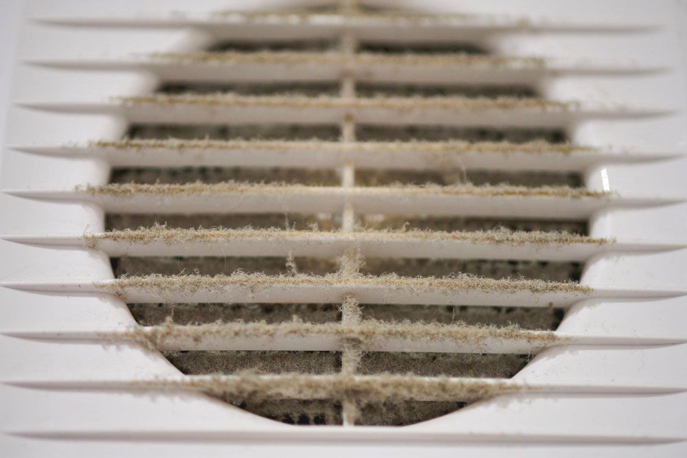 Accumulation of Dust and Mold