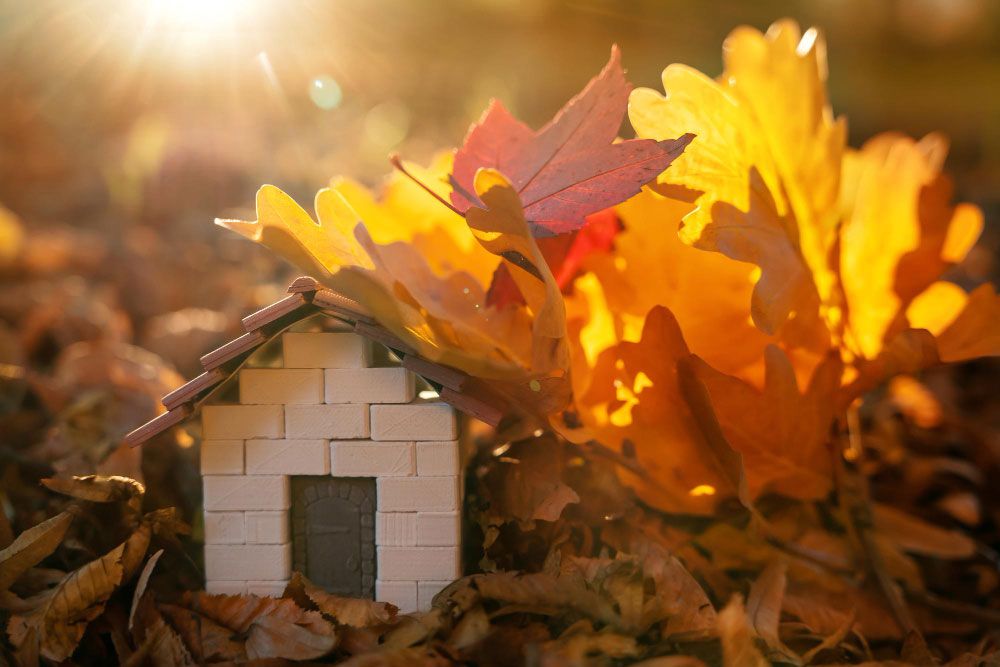 Autumn Home Maintenance Autumn Home Maintenance