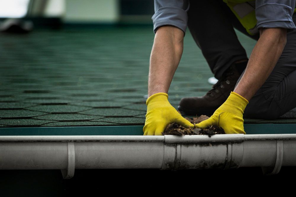 Gutter and Drainage Cleaning