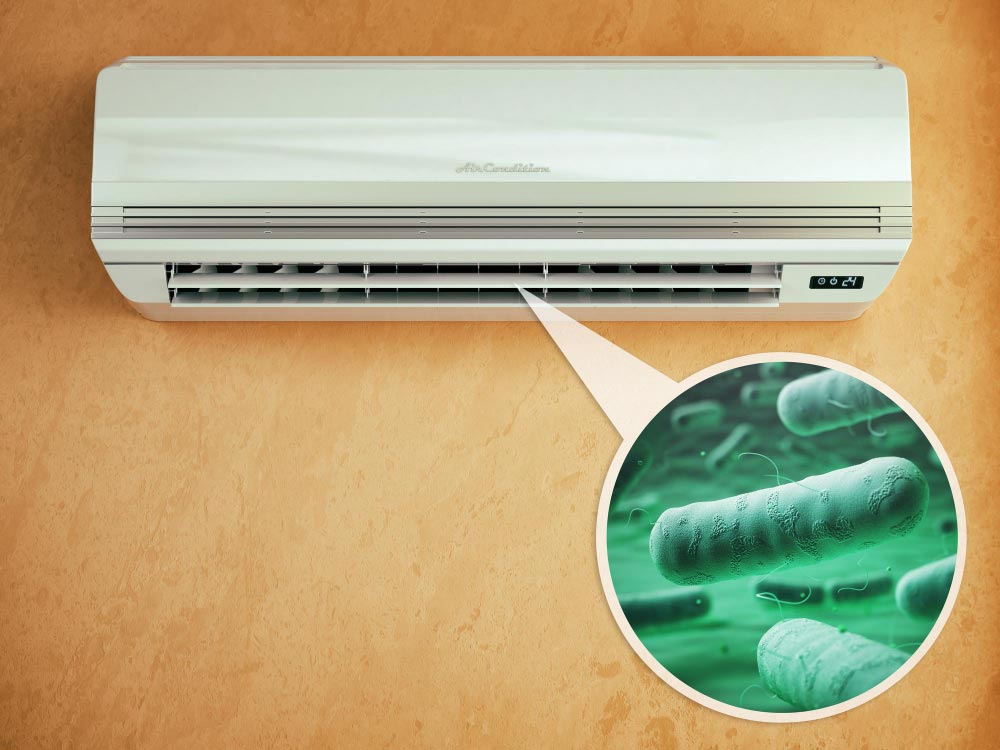 Allergens in Indoor Air