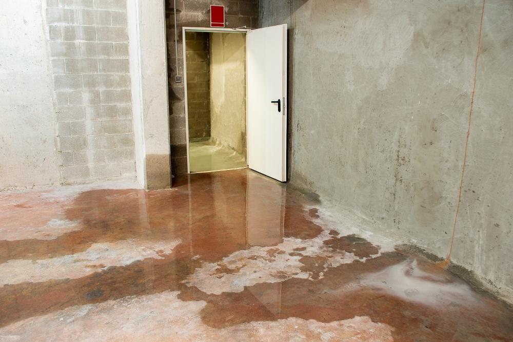 Causes of Water Damage in Rental Properties