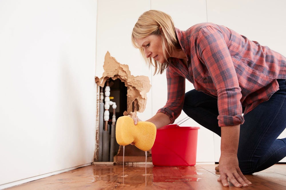 Water Damage Restoration Process