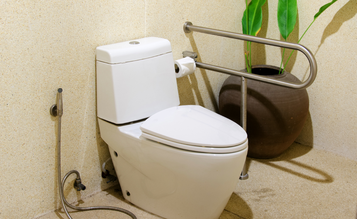 Bidet Buying Guide