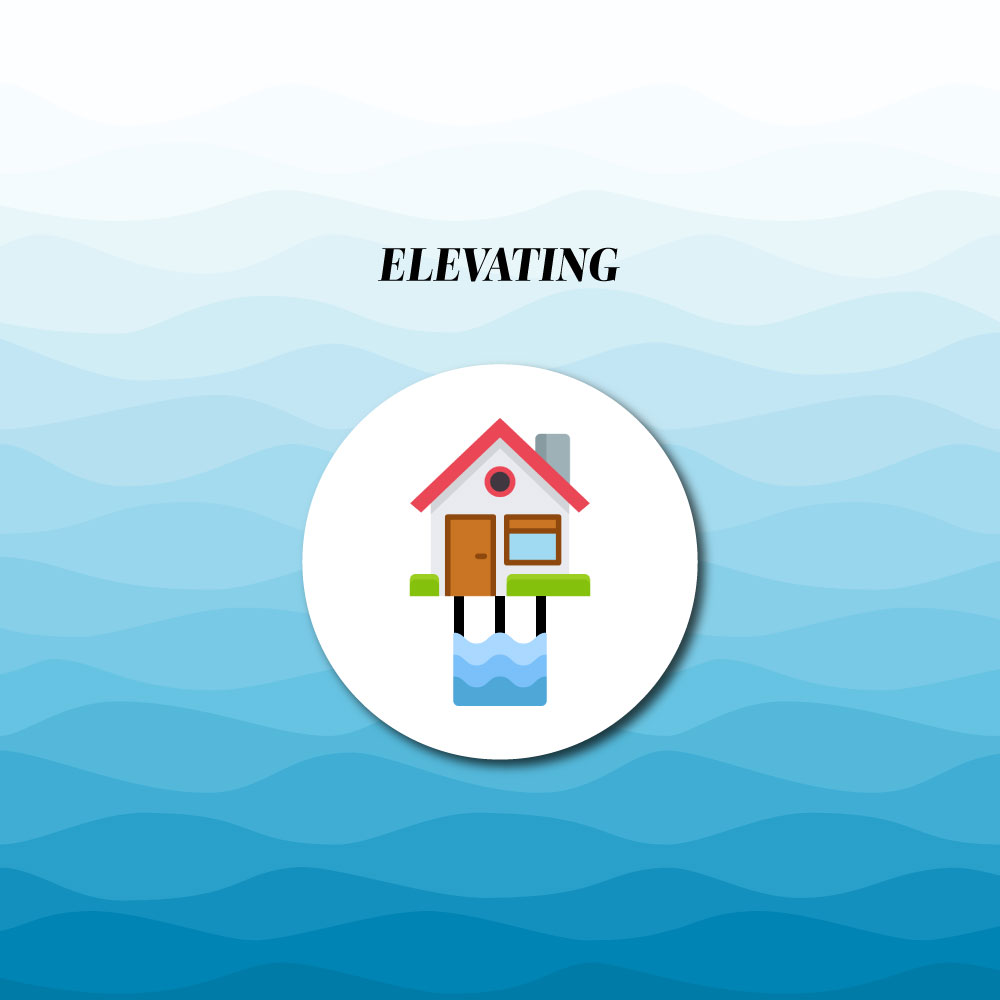 Elevated House